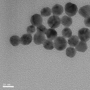 Gold Nanoparticles TEM image