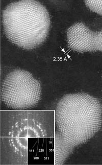 STEM  gold particle image