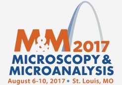 microscopy and microanalysis logo
