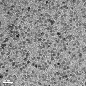 Nanoparticles on TEM support film