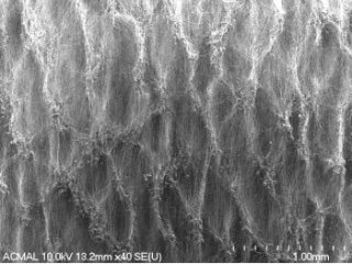 Nanospun fiber