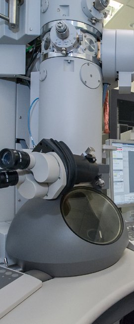 Tecnai TEM microscope